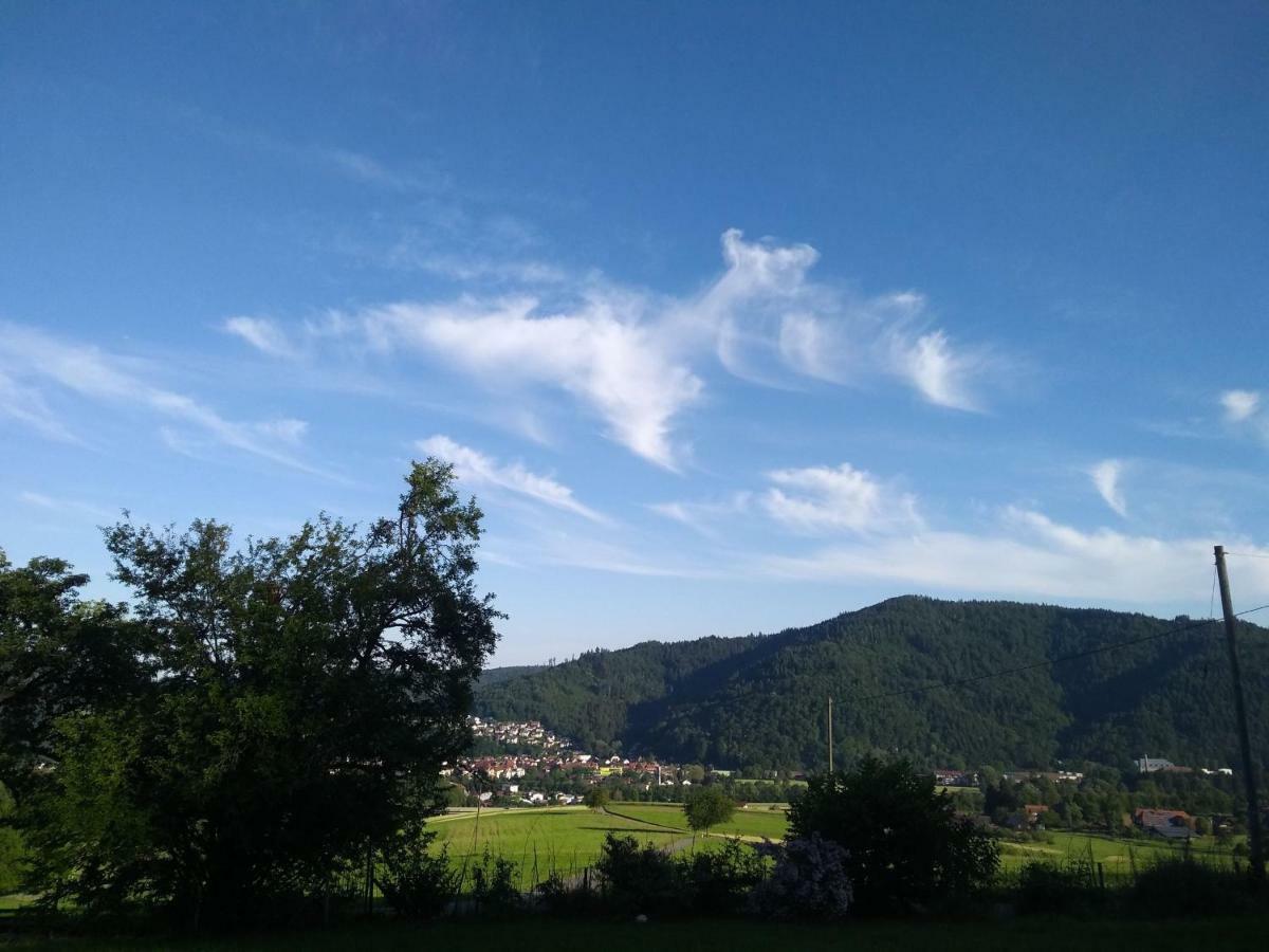 Ferienwohnung Am Eichbuehl Waldkirch Exterior photo